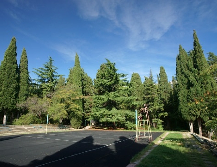 Услуги и развлечения - Санаторий «Симеиз» Ялта